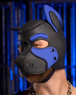 Neoprene Frisky Pup Hood - Royal