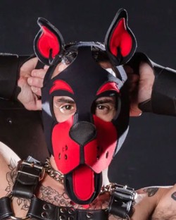Neo WOOF! Head Harness - 16 Colors