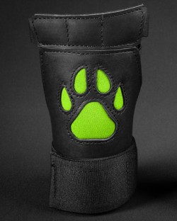Open Paw Puppy Glove - Lime