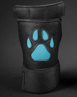 Open Paw Puppy Glove - Aqua