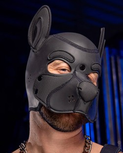 Neoprene Frisky Pup Hood - Black