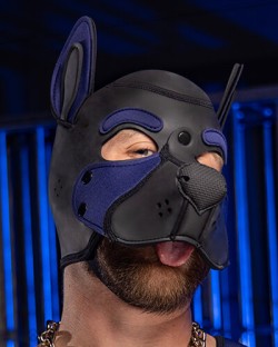 Neoprene Frisky Pup Hood - Navy