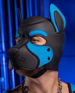Neoprene Frisky Pup Hood - Aqua