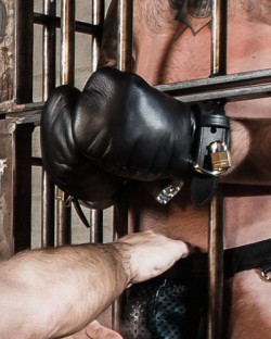 Padded Fist Mitts