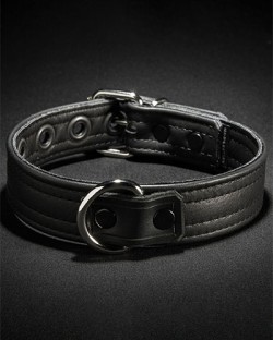 Puppy Collar