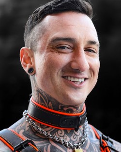 Hardline Collar - 11 Colors