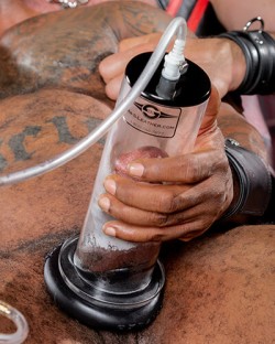 Mr. S Cock Cylinders
