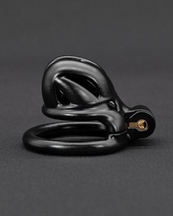 Complete Cobra Chastity Kit