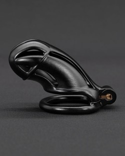 Complete Cobra Chastity Kit