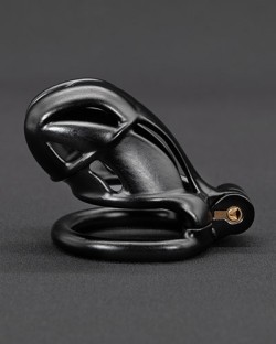 Complete Cobra Chastity Kit