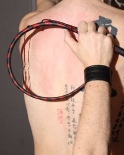 Target Whip 16 Plait